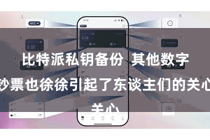 比特派私钥备份 其他数字钞票也徐徐引起了东谈主们的关心