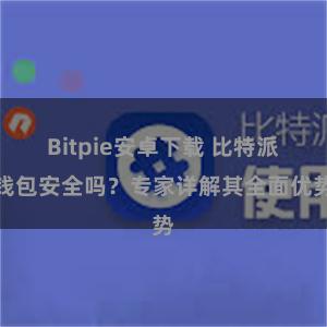 Bitpie安卓下载 比特派钱包安全吗？专家详解其全面优势