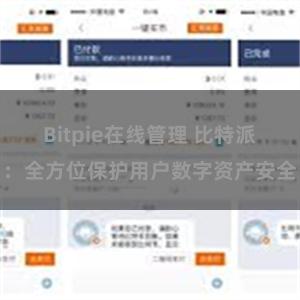 Bitpie在线管理 比特派：全方位保护用户数字资产安全