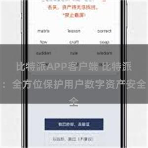 比特派APP客户端 比特派：全方位保护用户数字资产安全