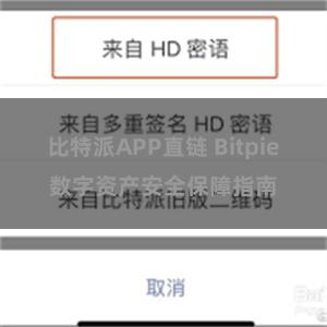 比特派APP直链 Bitpie数字资产安全保障指南