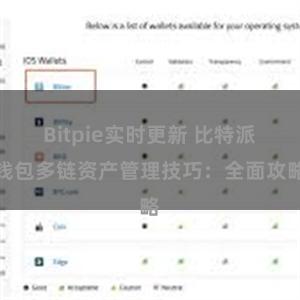 Bitpie实时更新 比特派钱包多链资产管理技巧：全面攻略