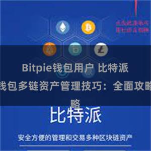 Bitpie钱包用户 比特派钱包多链资产管理技巧：全面攻略