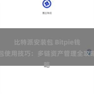 比特派安装包 Bitpie钱包使用技巧：多链资产管理全攻略