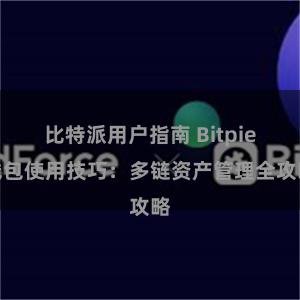 比特派用户指南 Bitpie钱包使用技巧：多链资产管理全攻略