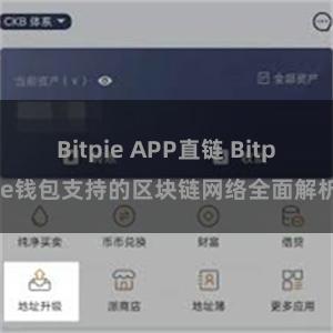 Bitpie APP直链 Bitpie钱包支持的区块链网络全面解析