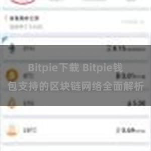 Bitpie下载 Bitpie钱包支持的区块链网络全面解析