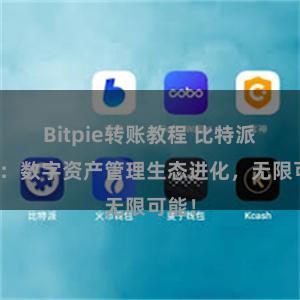 Bitpie转账教程 比特派钱包：数字资产管理生态进化，无限可能！