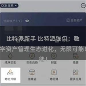 比特派新手 比特派钱包：数字资产管理生态进化，无限可能！