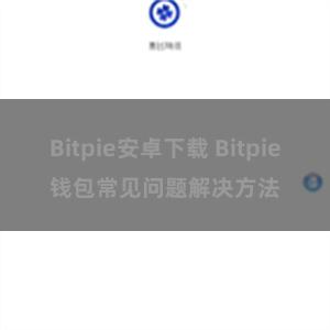 Bitpie安卓下载 Bitpie钱包常见问题解决方法