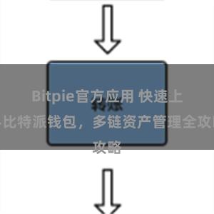 Bitpie官方应用 快速上手比特派钱包，多链资产管理全攻略