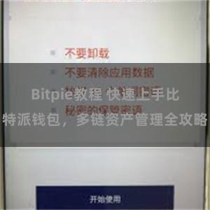 Bitpie教程 快速上手比特派钱包，多链资产管理全攻略