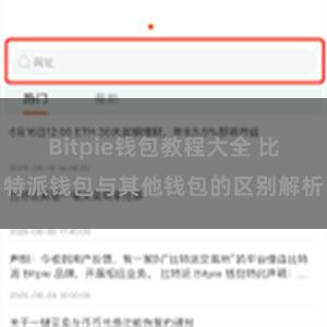 Bitpie钱包教程大全 比特派钱包与其他钱包的区别解析