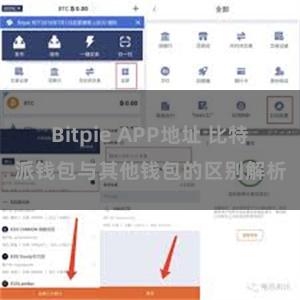 Bitpie APP地址 比特派钱包与其他钱包的区别解析