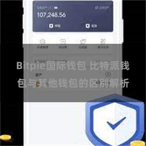 Bitpie国际钱包 比特派钱包与其他钱包的区别解析