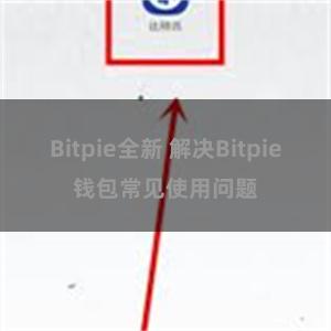 Bitpie全新 解决Bitpie钱包常见使用问题