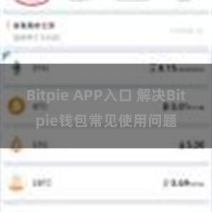 Bitpie APP入口 解决Bitpie钱包常见使用问题