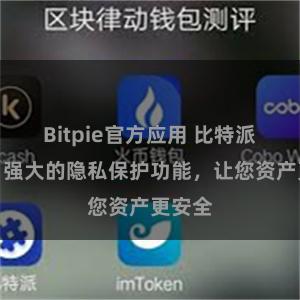 Bitpie官方应用 比特派钱包：强大的隐私保护功能，让您资产更安全