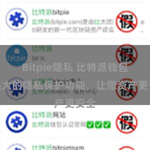 Bitpie隐私 比特派钱包：强大的隐私保护功能，让您资产更安全