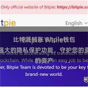 比特派转账 Bitpie钱包：强大的隐私保护功能，守护您的资产