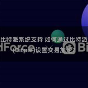 比特派系统支持 如何通过比特派(Bitpie)设置交易加速？