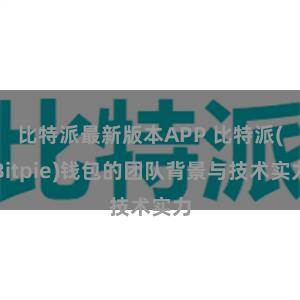 比特派最新版本APP 比特派(Bitpie)钱包的团队背景与技术实力