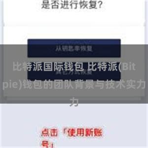 比特派国际钱包 比特派(Bitpie)钱包的团队背景与技术实力