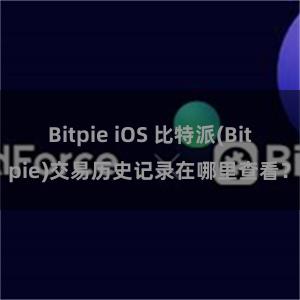 Bitpie iOS 比特派(Bitpie)交易历史记录在哪里查看？