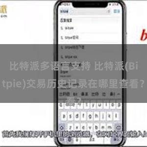 比特派多语言支持 比特派(Bitpie)交易历史记录在哪里查看？