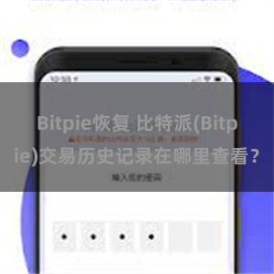 Bitpie恢复 比特派(Bitpie)交易历史记录在哪里查看？