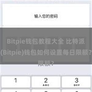 Bitpie钱包教程大全 比特派(Bitpie)钱包如何设置每日限额？