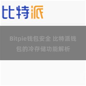 Bitpie钱包安全 比特派钱包的冷存储功能解析