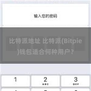 比特派地址 比特派(Bitpie)钱包适合何种用户？