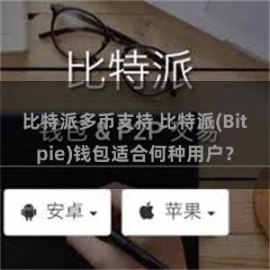 比特派多币支持 比特派(Bitpie)钱包适合何种用户？