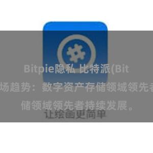 Bitpie隐私 比特派(Bitpie)钱包市场趋势：数字资产存储领域领先者持续发展。