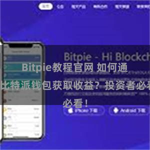 Bitpie教程官网 如何通过比特派钱包获取收益？投资者必看！