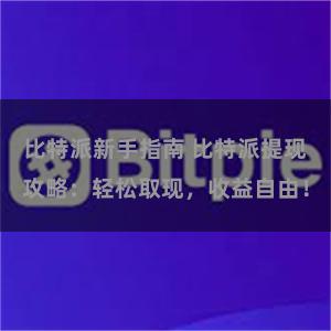 比特派新手指南 比特派提现攻略：轻松取现，收益自由！