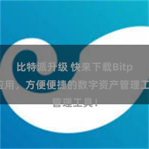 比特派升级 快来下载Bitpie应用，方便便捷的数字资产管理工具！