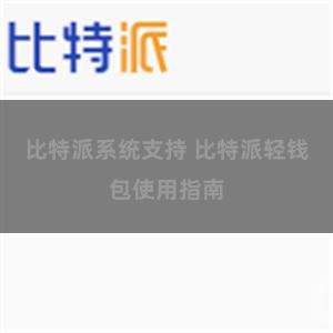 比特派系统支持 比特派轻钱包使用指南