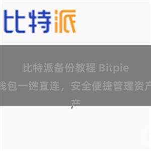 比特派备份教程 Bitpie钱包一键直连，安全便捷管理资产