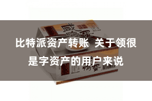 比特派资产转账  关于领很是字资产的用户来说