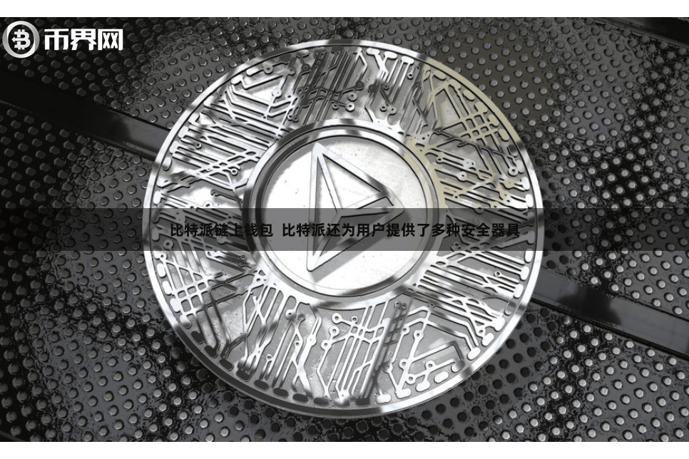 比特派链上钱包  比特派还为用户提供了多种安全器具