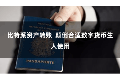 比特派资产转账  颠倒合适数字货币生人使用