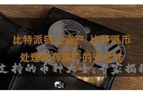比特派链上资产  比特派币处理具有深广的安全性