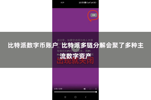 比特派数字币账户  比特派多链分解会聚了多种主流数字资产