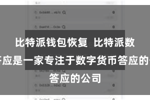 比特派钱包恢复  比特派数字答应是一家专注于数字货币答应的公司